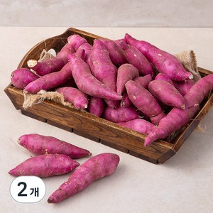 친환경 영암 한입 고구마(햇), 1.5kg, 2개