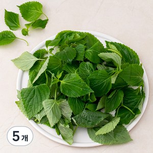 국내산 GAP 추부깻순, 200g, 5개