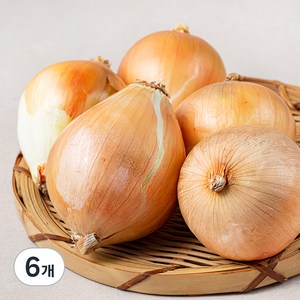 국내산 친환경 양파, 800g, 6개