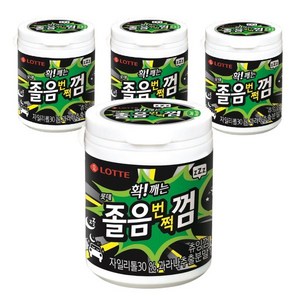 롯데웰푸드 졸음깨는 껌, 87g, 4개