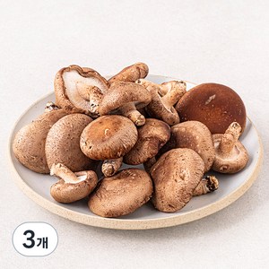 못생겨도 맛있는 친환경 표고버섯, 1kg, 3개