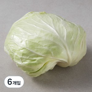 국내산 양배추, 1개입, 6개