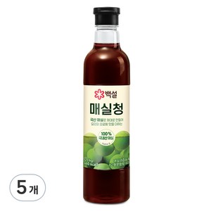 백설 매실청, 1.025kg, 5개