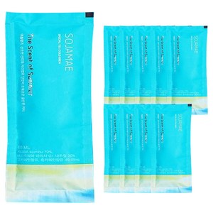 소자매 스페셜티 콜드브루 파우치타입 여름향기, 60ml, 10개