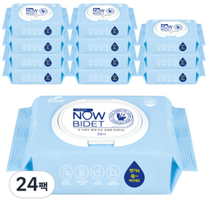 블루나 나우비데 물티슈 캡형 60gsm, 50개입, 24개