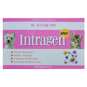 인트라젠 반려동물 플러스 영양제, 100회분, 장건강/유산균, 1개