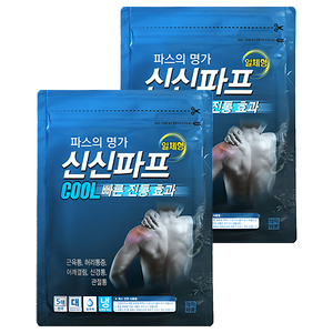 신신제약 신신파스 신신파프 쿨 파스, 5개입, 2개