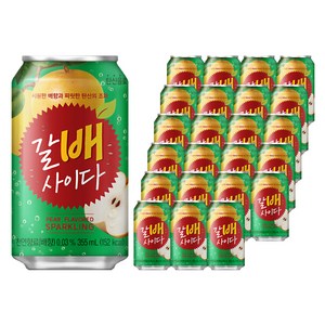 갈배사이다, 355ml, 24개