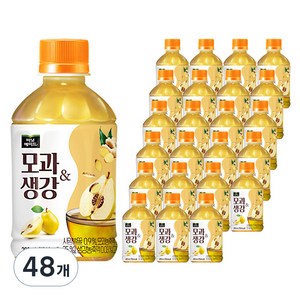 미닛메이드 모과생강, 280ml, 48개