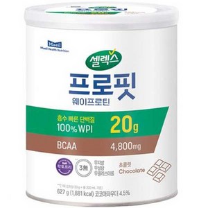 셀렉스 프로핏 웨이프로틴 파우더 초콜릿, 1개, 627g