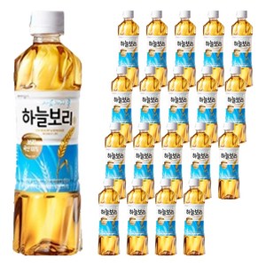 하늘보리