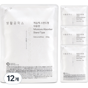 생활공작소 제습제 스탠드형 대용량 본품, 250g, 12개