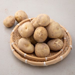 단양 감자 추천 1등 제품
