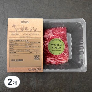 설성목장 무항생제 인증 1등급 한우 양지 국거리 (냉장), 200g, 2개