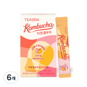 티젠 콤부차 망고구아바, 5g, 10개입, 6개