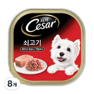 시저 반려견 주식캔 쇠고기, 100g, 8개