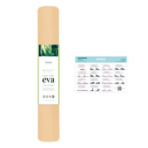 앤드어스 EVA 원형 폼롤러 + 운동포스터, 피치베이지