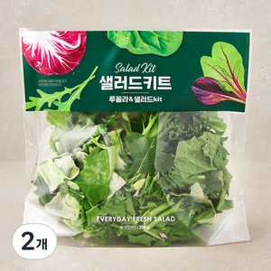 루꼴라 & 샐러드 키트, 200g, 2개