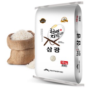 비슬산 천년지기쌀 2024년산 햅쌀 삼광미 백미, 특등급, 10kg, 1개