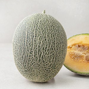 곰곰 고당도 하미과 멜론, 1.5kg, 1개