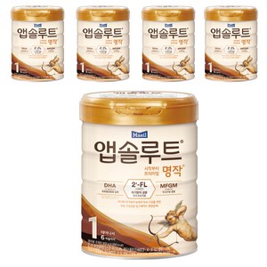 앱솔루트 명작 2FL 분유 1단계, 800g, 5개