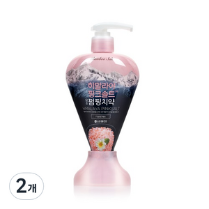 죽염 히말라야 핑크솔트 담은 펌핑 치약 플로럴민트, 285g, 2개입