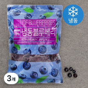 딜라잇가든 냉동 블루베리 (냉동), 1kg, 3개