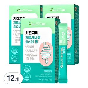 이너랩 차전자피 슬리밍 환 가르시니아, 110g, 12개