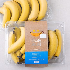 과일보감 코스타리카 주스용 바나나, 1.7kg, 2개