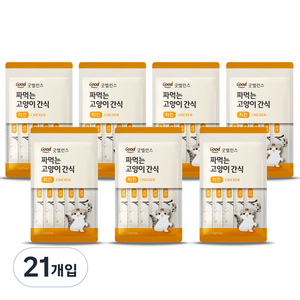 굿밸런스 짜먹는 고양이 간식, 치킨, 60g, 21개