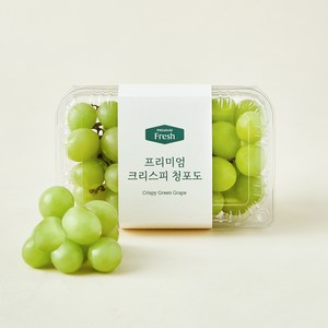 프리미엄 크리스피 청포도, 500g, 1개