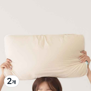 홈랩 릴렉스 필로우 기절베개, 베이지 + 아이보리, 2개