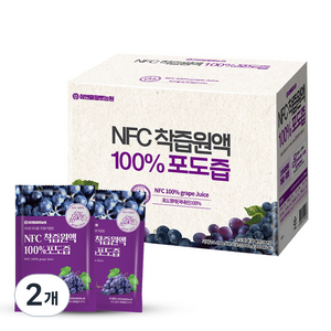 참앤들황토농원 국내산 NFC 착즙원액 포도즙, 100ml, 100개