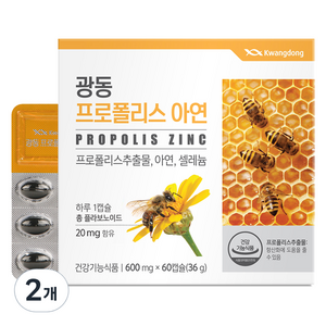 광동제약 프로폴리스 아연 36g, 60정, 2개