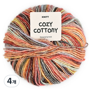 니뜨 코지 코트니 뜨개실 50g, 13다크믹스, 4개