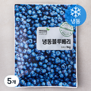 이안 칠레산 블루베리 (냉동), 1kg, 5개