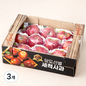 가족 국내산 당도선별 안동 세척사과, 2kg(소과), 3개