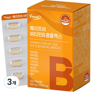 퍼니트 메리트비 비타민B 콤플렉스 51g, 3개