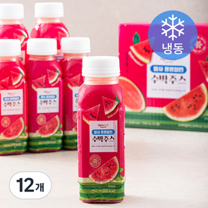 탐사 꽁꽁얼린 수박주스 (냉동), 250ml, 12개