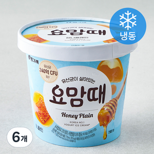 빙그레 요맘때 허니플레인 아이스크림 (냉동), 710ml, 6개