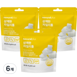 내츄럴플러스 상쾌한 자일리톨, 40g, 6개