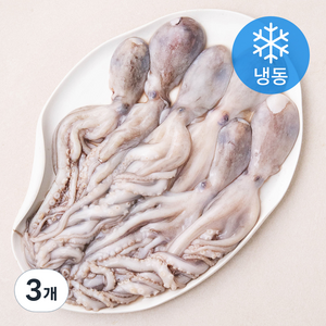 비비수산 살아있을때 얼린 신선한 낙지 (냉동), 3개, 850g(6미)