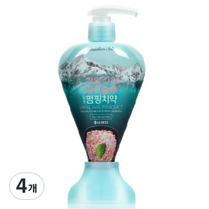 히말라야핑크솔트 밤부솔트 담은 펌핑치약 아이스, 285g, 4개