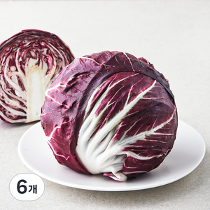 국내산 라디치오, 290g, 1입, 6개