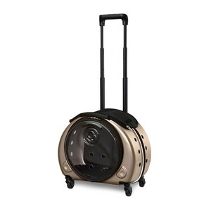 펍 반려견 신데렐라 PLT-035-46CM, 샴페인골드