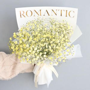 모리앤 생화 안개 꽃다발, 큐티옐로우