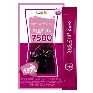 웰업 아르기닌 7500 액상스틱 15p, 300g, 1개