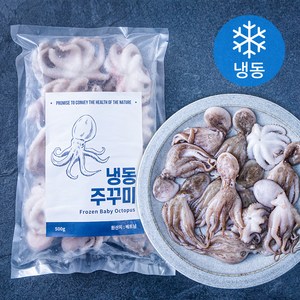 바이오션 주꾸미 (냉동), 500g(10~15마리), 1개