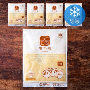 맛다짐 국내산 다진마늘 (냉동), 1kg, 5개