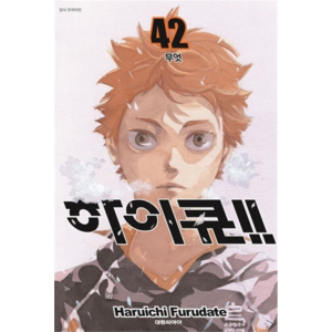하이큐!!, 42권, 대원씨아이